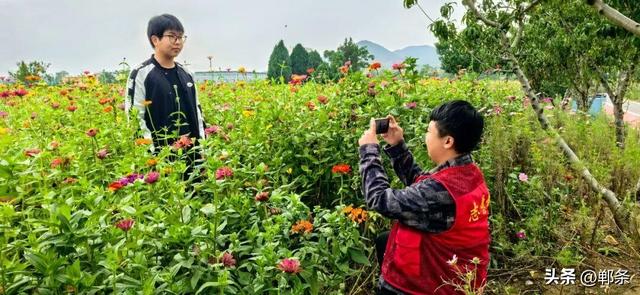 向阳花开 相约复兴 | 东高河“免费五件套”：景美情更暖