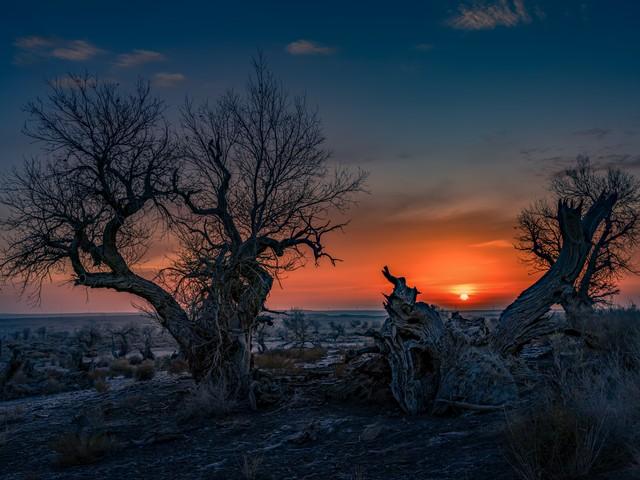 新疆真糊涂啊！赛过东北的雪景顶流，外地人都喜欢，赶快宣传吧！