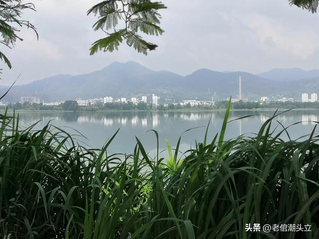 冬天的早上 晒着太阳从大观楼徒步到西山茶马花街 是什么样的感受？