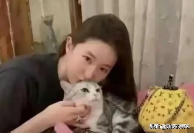 刘亦菲私宅曝光,与猫狗相伴不养娃超舒适,这才是生活?