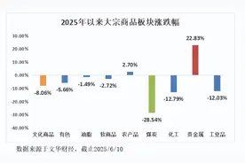 2025下半年大宗商品展望：关税是扰动，减税决定方向图片