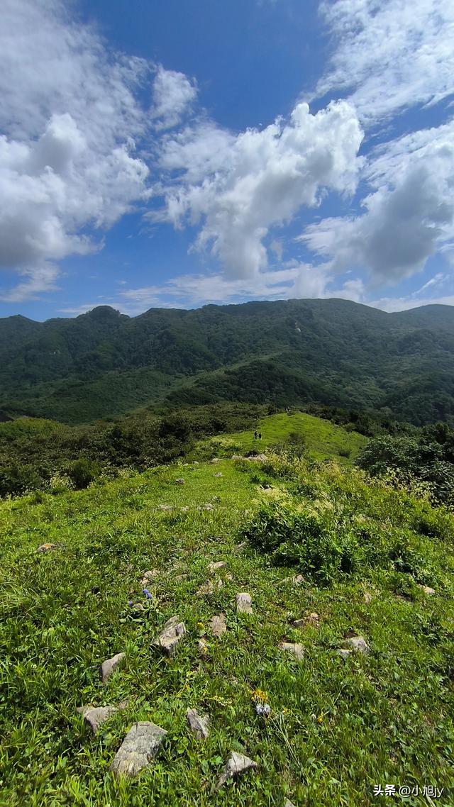 两次本溪南岭徒步记｜高山草甸，湖池松林，我被南岭种草