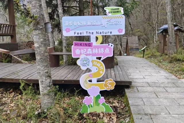 广元不远 周末优选 | 又是紫荆又是奖牌的，唐家河你成功引起了我的注意！