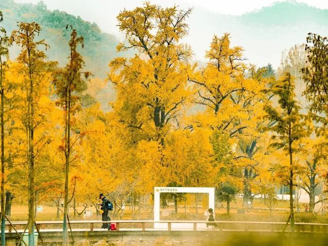 文明旅游丨让文明与旅游同行