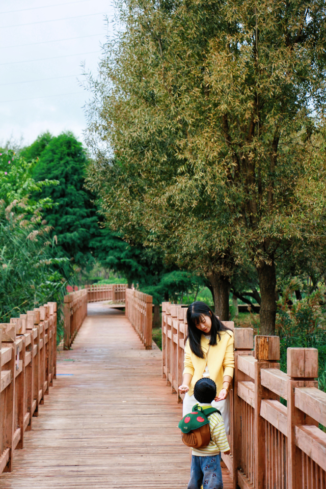 昆明秋日宝藏公园，每一个都“美到心巴”！