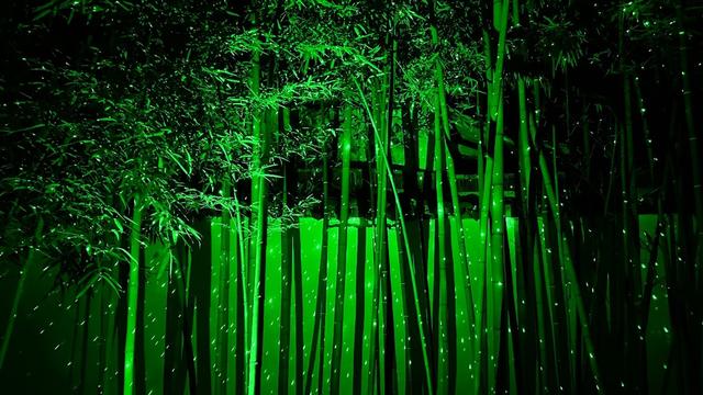 打卡朱家角光影秀,在课植园开启一场奇幻之旅
