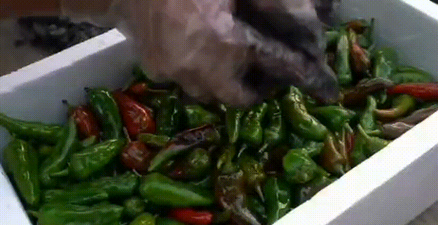 保存新鲜辣椒，不进冰箱放一年都不坏，味道跟夏天的一样好吃！