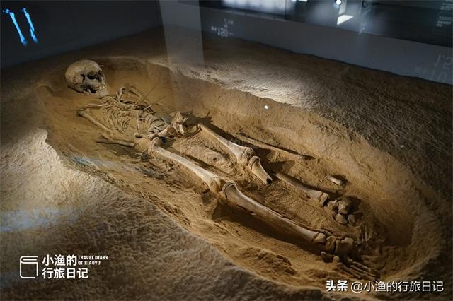 第一次逛博物馆被吓到！7000年前少女，遭百人残害，历史真相为何