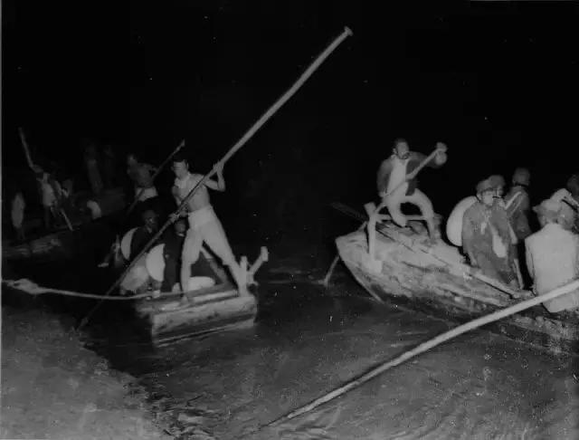 风情满眼秋色中 （杨水河）