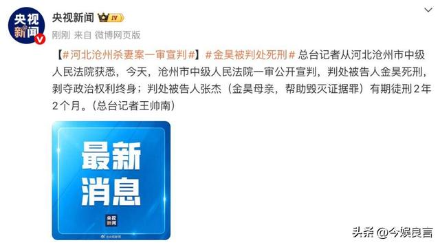 央视通报！河北金某杀妻判死刑，女方想夺遗子抚养权，却难上加难