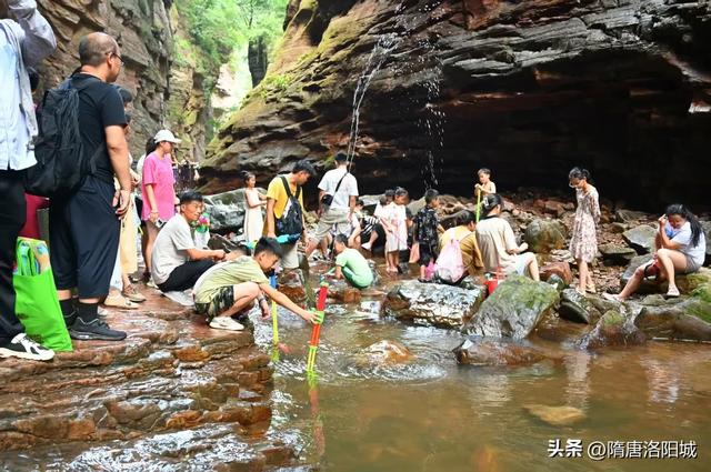 暑期文旅“热”力四射!花式活动“热”度爆棚!
