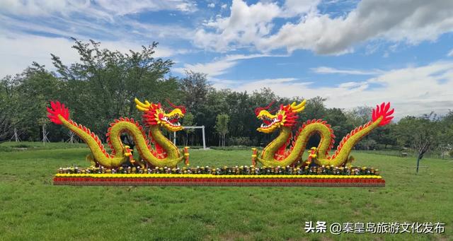 山海关长城金秋菊展即将启幕,精彩抢先看!