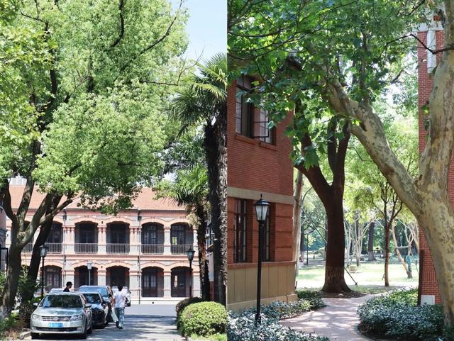 码住！上海0元逛，分享不花钱的citywalk宝藏路线