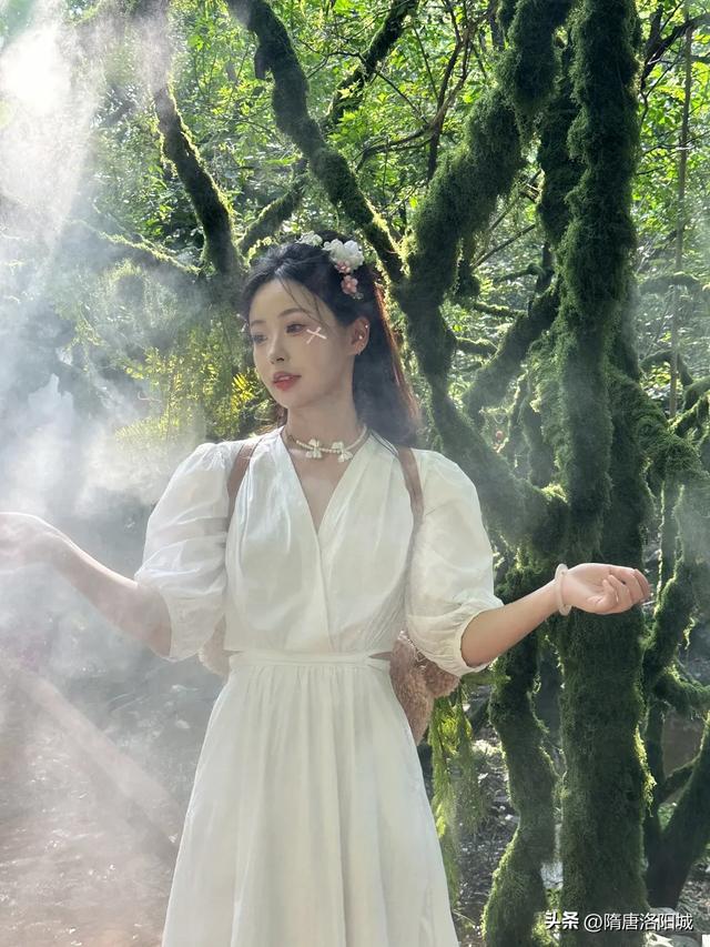 太美啦！@各位小仙女，洛阳这里上新“绿光森林”梦幻场景！