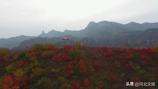 旅发大会前瞻丨河北好“宠客”！各景区以满满的诚意筹备文旅盛宴