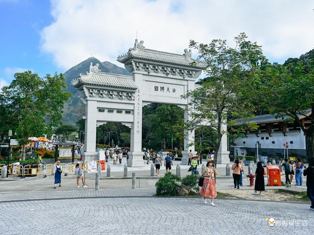 香港昂坪360全攻略：25分钟高空揽山海，登顶全球最大户外青铜佛