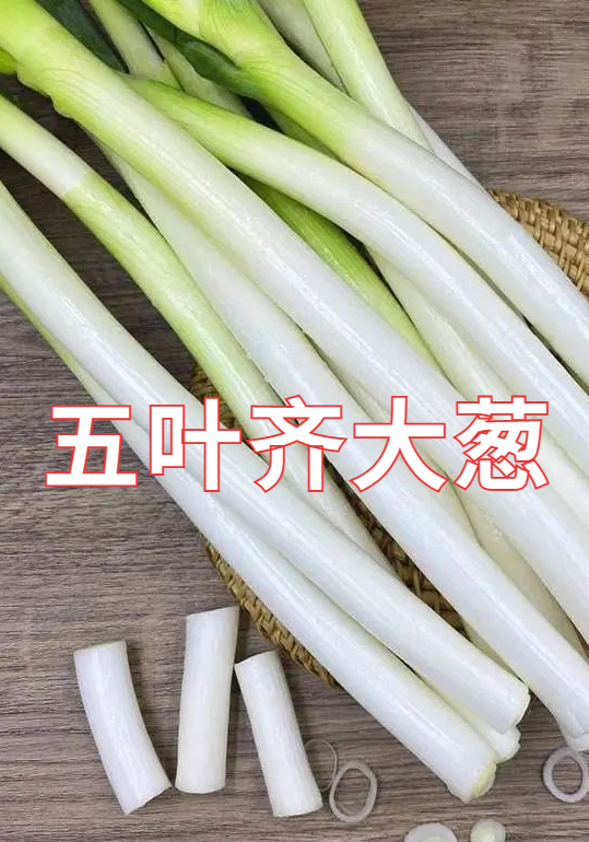 9月14日来宝坻，邂逅“津农精品”，品味地道农味！