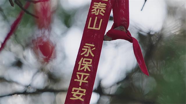 2025年全国“我们的节日・重阳”主题文化活动即将在山东泰安启幕 泰安邀四海宾朋共赴重阳之约