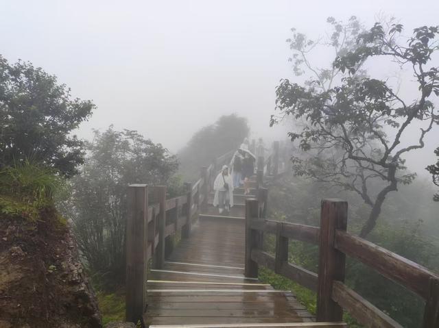 成都周边的雪山景区，气温凉爽景色壮美，黑色“藏乌梨”是个坑