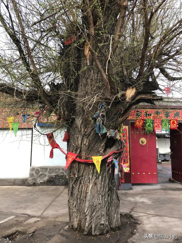 包头市土默特右旗部分文物保护单位考察笔记（下）