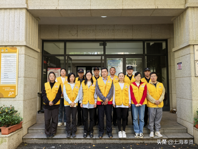 从“流浪无依”到“宠爱有道”，金海街道这个社区有“喵”招→