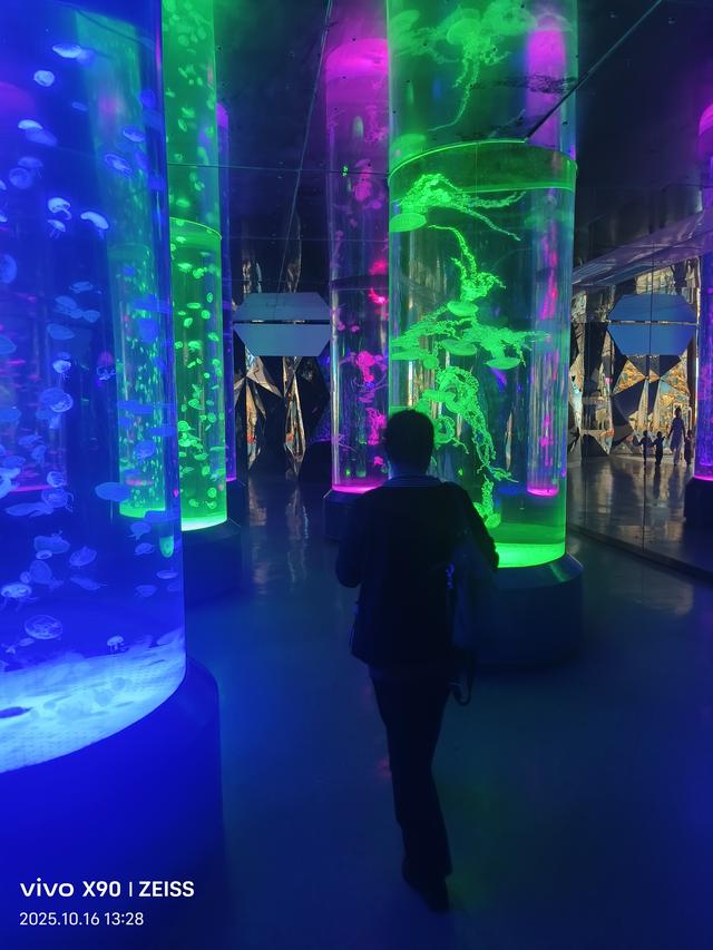 成都 极地海洋公园（58）2025年10月16日