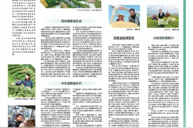 光山好风物 俏销海内外图片