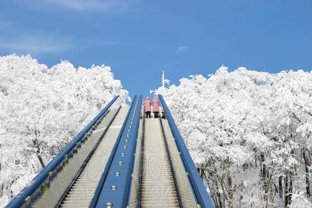 叮!龙头山秋日余额已不足!期待新一轮的冬雪到来~