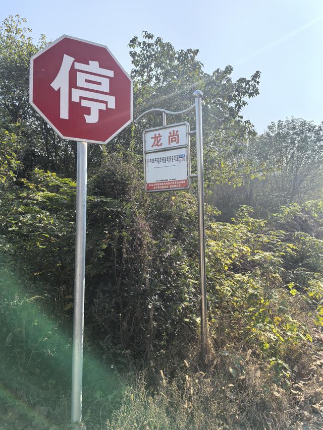 南京龙尚湖，大连山，佘村一日郊野徒步