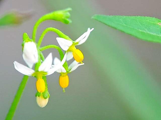 和女人断联后，多半是以下几种情况，很准！