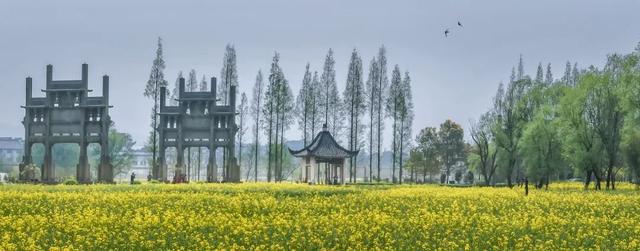 从《大生意人》到安徽歙县，探寻徽商真实的茶贸足迹与建筑瑰宝 | 皖美冬日 | 第十五届安徽国际文化旅游节