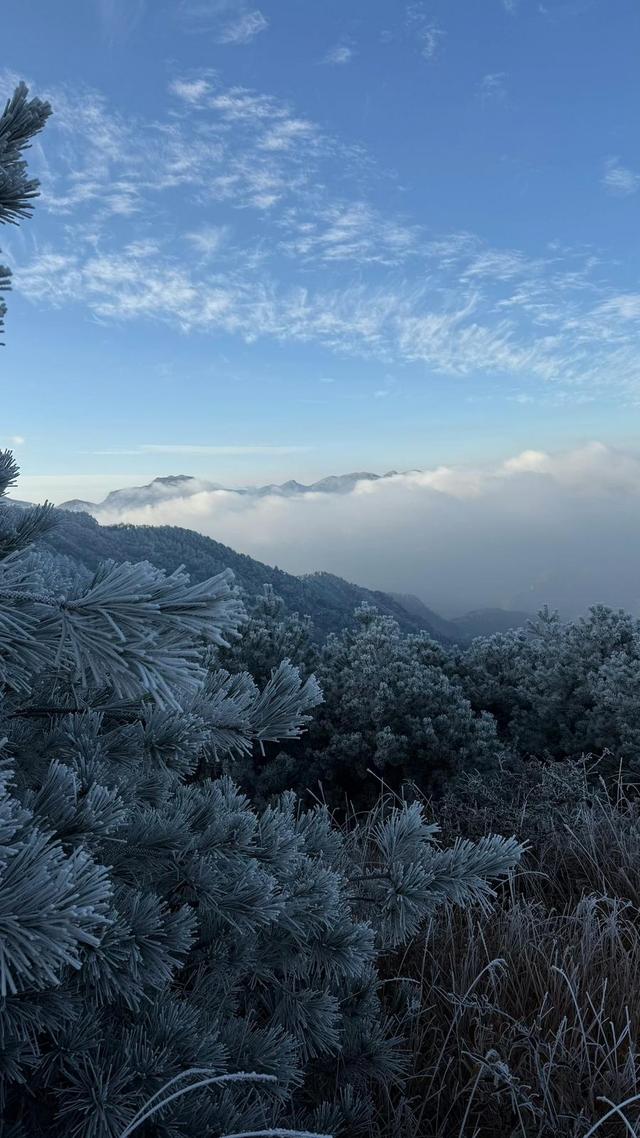 太子尖的第一场雾凇来了！接下来，杭州气温还会降……
