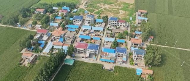 魅力曹县楼庄镇