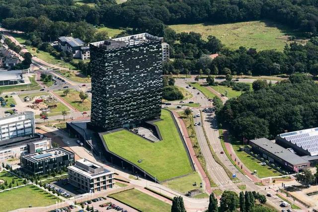 中方即将发货却被反咬，忍无可忍撂狠话后，荷兰准备停止接管安世