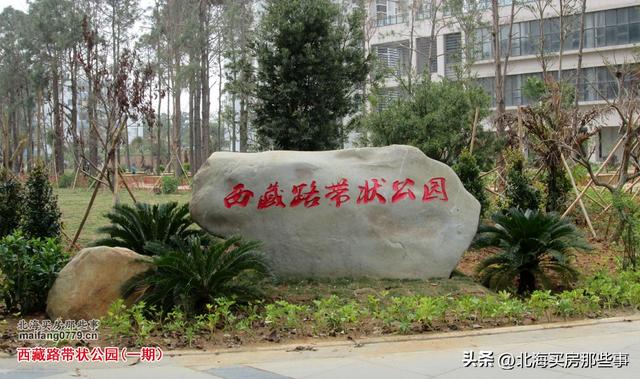 逐个数一数北海现在颇有名气的越冬旅居“候鸟乐园”