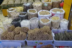 5个中药材很难“造假”，市面上基本是真货，很多人不知道图片