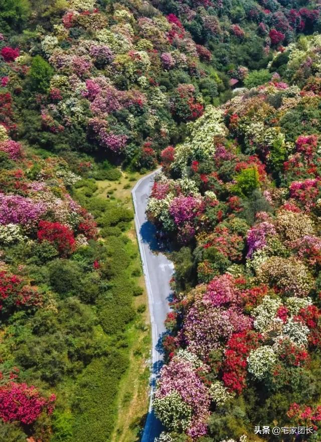 贵州8大5A景区全攻略：去过3个算合格，你是什么段位？