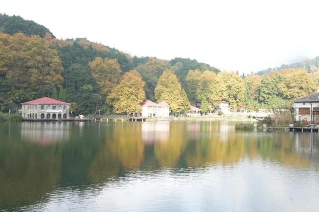 庐山景区开启2025年金秋赏枫季