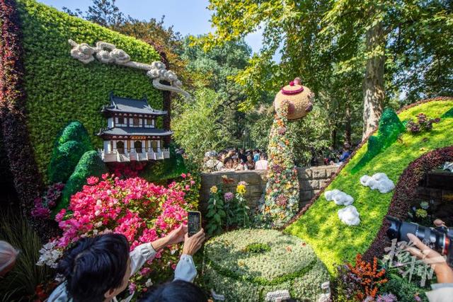 全是人人人人人！一年一度杭州“顶流”人气菊花展登场