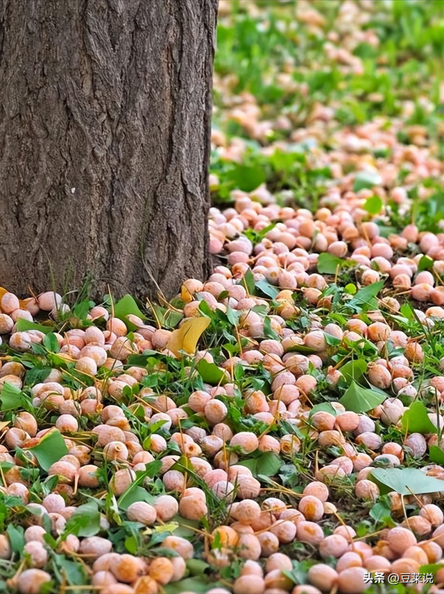 日本人靠它发财，美国人用它打仗，中国人却把它当毒药扔进垃圾桶