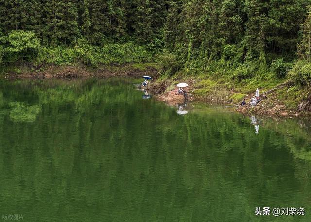雨中入山