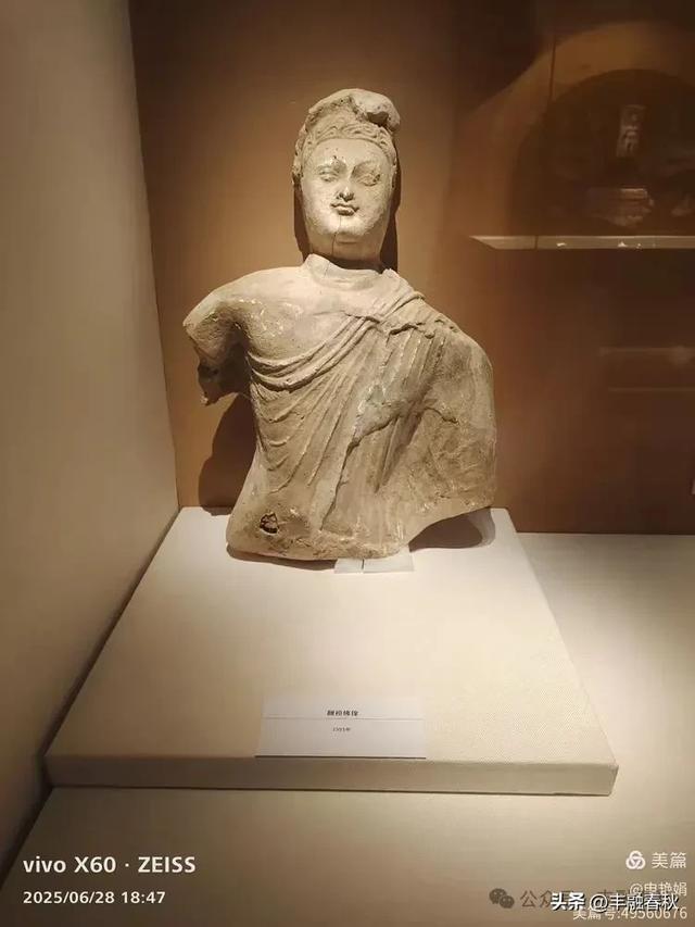 探秘丝路明珠,邂逅巴楚千年文明——走进新疆巴楚博物馆|申艳娟