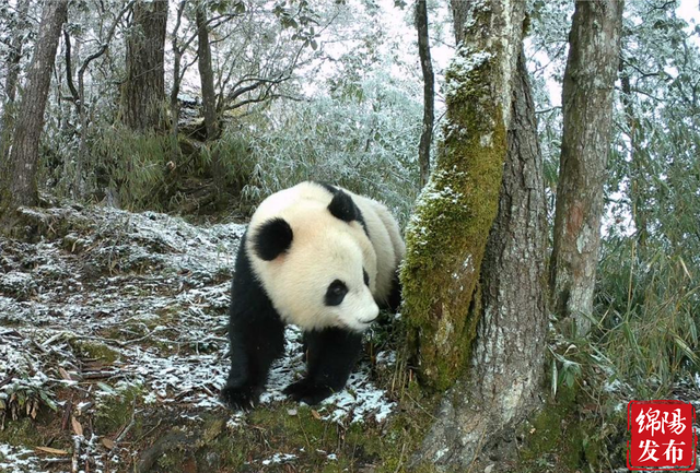 让“诗和远方”的“向往”更加灿烂