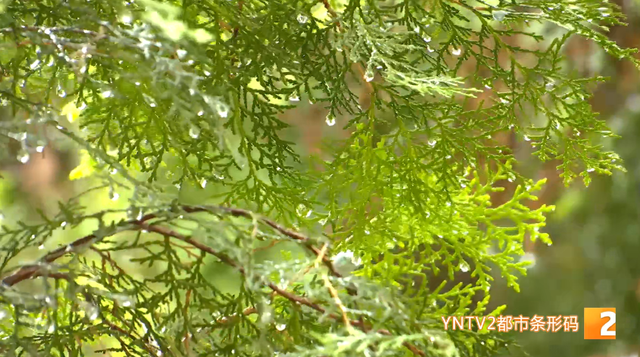 云南多地迎来初雪，你以为要出太阳了吗？不，雨季还没结束→