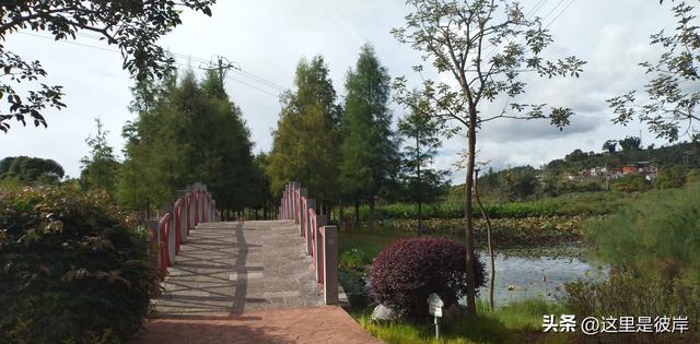 普洱五湖国家湿地公园
