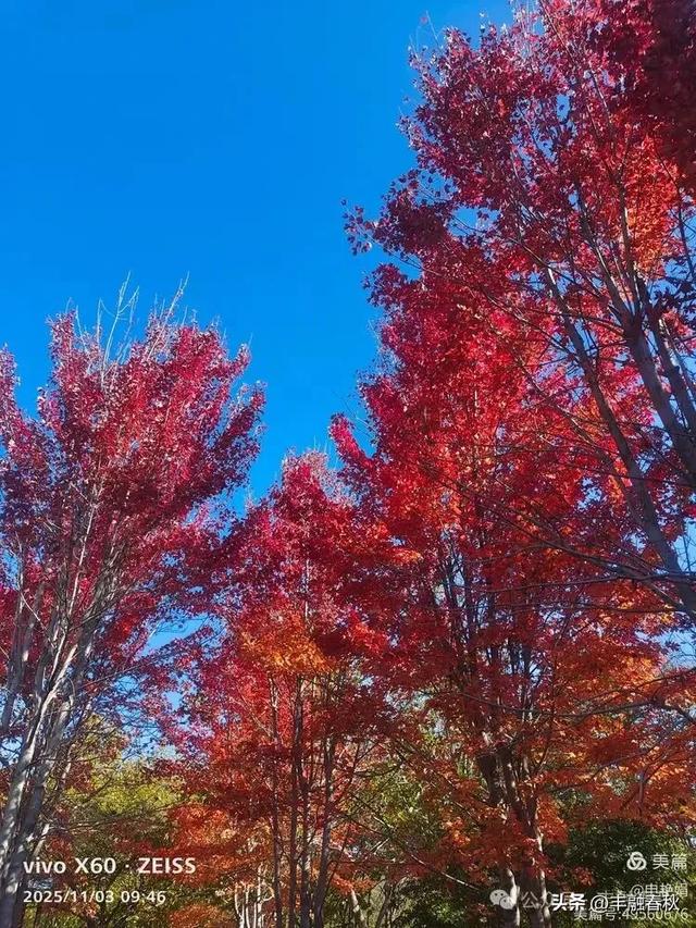 青岛即墨马山寻趣:一座地质公园的秋日私语|申艳娟