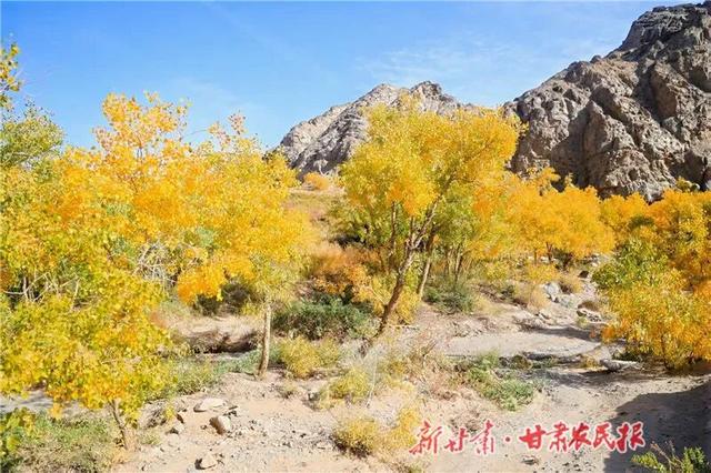 于天地间知往事——河西走廊遗产线路新媒体宣传活动手记