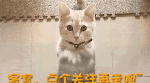 天！看《足迹》预告破防，老楼藏着几代人故事