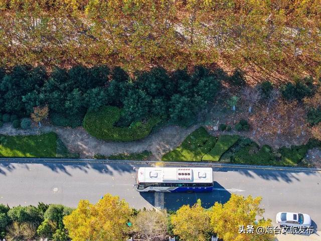 【乐游烟台】现在就冲！烟台这几处街景美到开挂