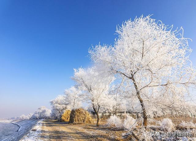1月国内去哪玩？10大顶流目的地，去过5个的是真的很爱玩很会玩